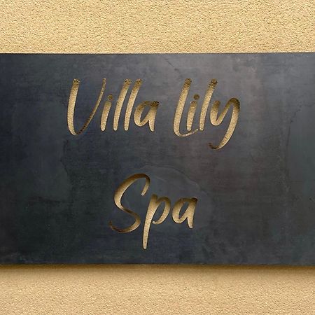 Villa Lily Spa, Chambre D'Hotes Avec Spa Privatif La Vicomté-sur-Rance Extérieur photo