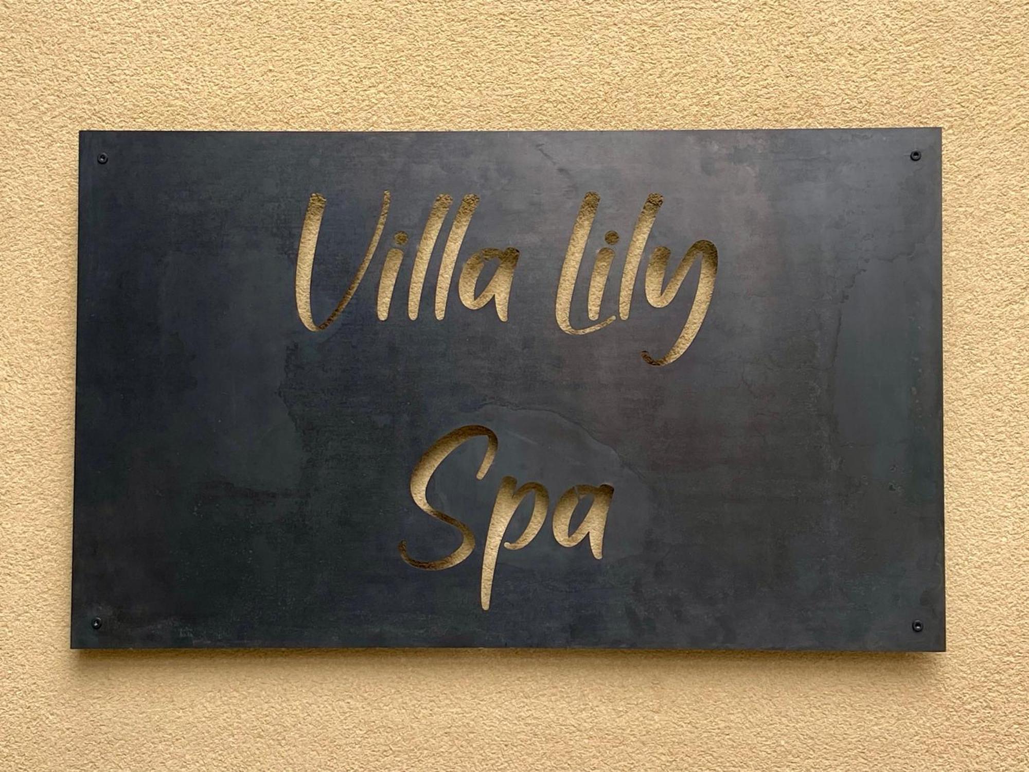 Villa Lily Spa, Chambre D'Hotes Avec Spa Privatif La Vicomté-sur-Rance Extérieur photo